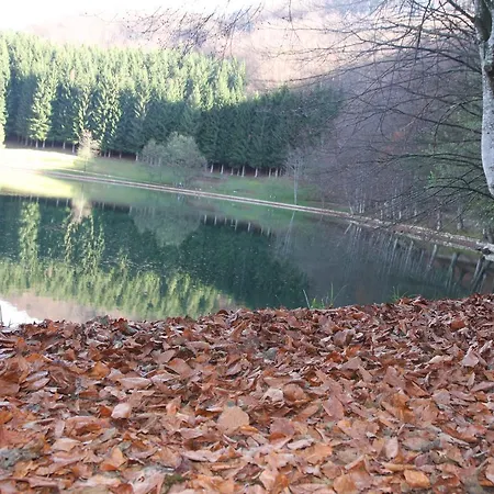 Balkana Vidovic Mrkonjic Grad